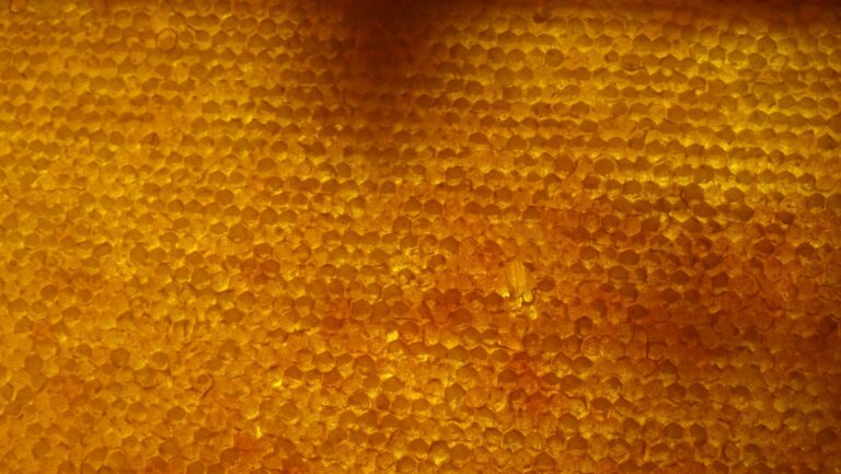 Beeswax Lip Balm That Actually Holds Up - Making It Myself