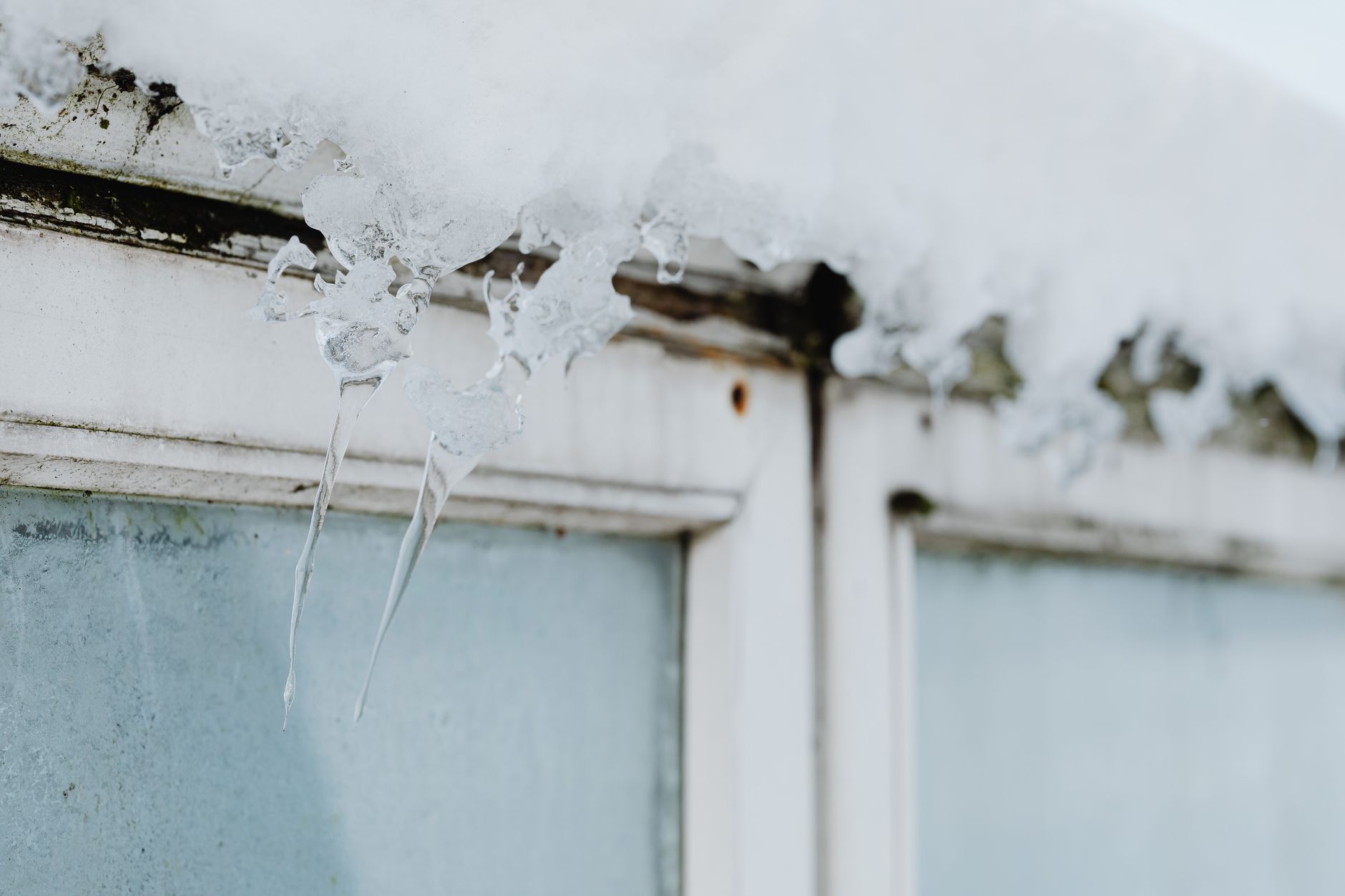 Slowing the House Down for Winter - Seasonal Living