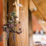 Drying Herbs for Later Without Losing Their Scent - Herbs & Plants