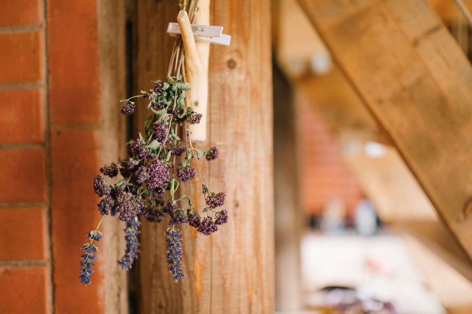 Drying Herbs for Later Without Losing Their Scent - Herbs & Plants